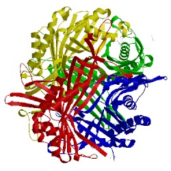 Image of CATH 1xxj