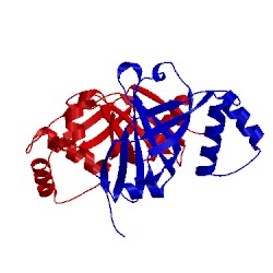 Image of CATH 1xxo