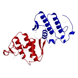 Image of CATH 1xxs