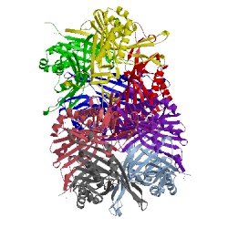 Image of CATH 1xy3