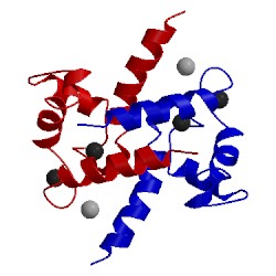 Image of CATH 1xyd