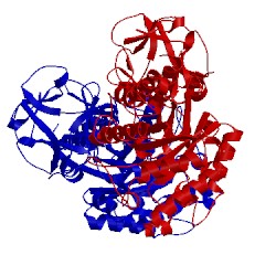 Image of CATH 1xyf