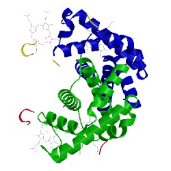 Image of CATH 1xz4