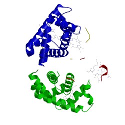 Image of CATH 1xzv