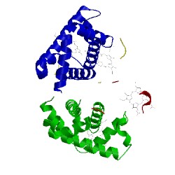 Image of CATH 1y09