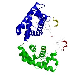 Image of CATH 1y0t