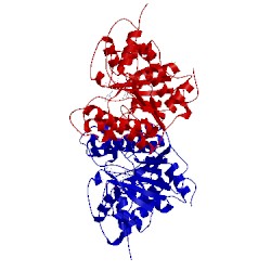 Image of CATH 1y1p