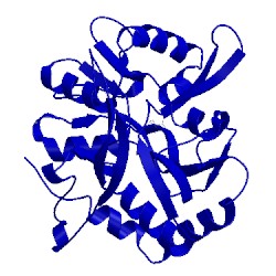 Image of CATH 1y20