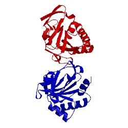 Image of CATH 1y25