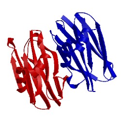 Image of CATH 1y2t