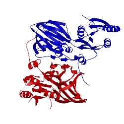 Image of CATH 1y3h