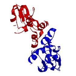 Image of CATH 1y5h