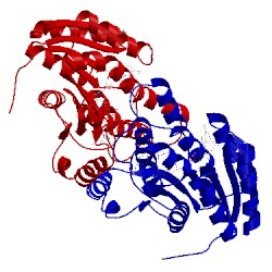 Image of CATH 1y5r