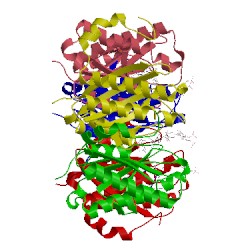 Image of CATH 1y60