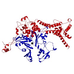 Image of CATH 1y64