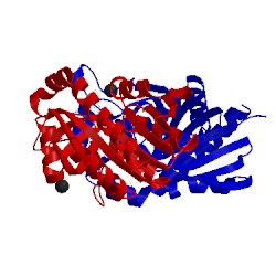 Image of CATH 1y6q