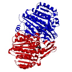 Image of CATH 1y6v