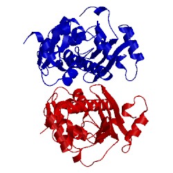Image of CATH 1y6z
