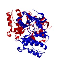 Image of CATH 1y8g