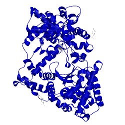 Image of CATH 1y8j