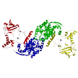 Image of CATH 1y8q