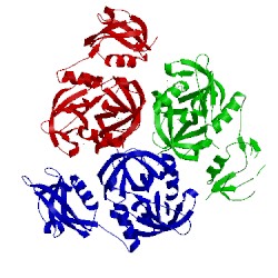Image of CATH 1y8t
