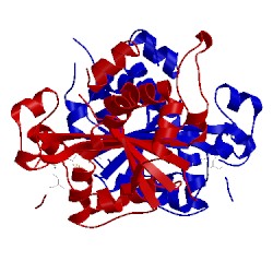 Image of CATH 1y97