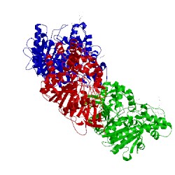 Image of CATH 1ya4