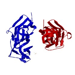 Image of CATH 1ya5