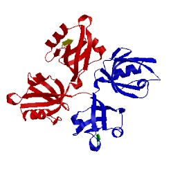 Image of CATH 1ybo