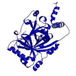 Image of CATH 1yci