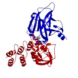 Image of CATH 1ycs
