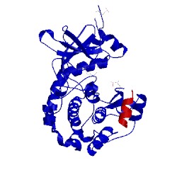 Image of CATH 1ydt