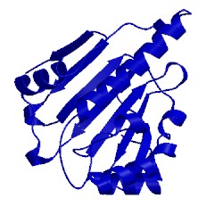 Image of CATH 1yes