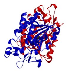 Image of CATH 1yfk