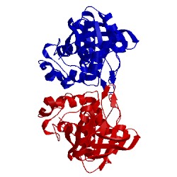 Image of CATH 1yfo