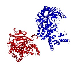 Image of CATH 1yfs