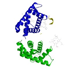 Image of CATH 1yg5