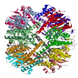 Image of CATH 1yg6