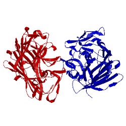 Image of CATH 1yga