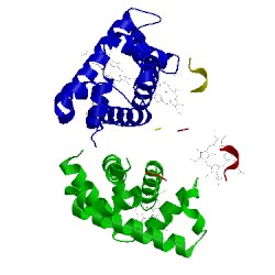 Image of CATH 1ygf