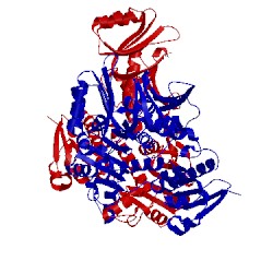 Image of CATH 1ygy