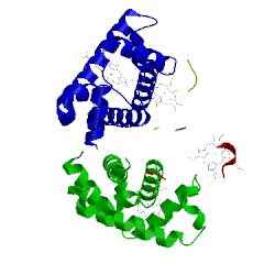 Image of CATH 1yh9