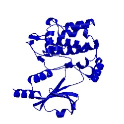 Image of CATH 1yhv