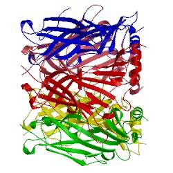 Image of CATH 1yi5