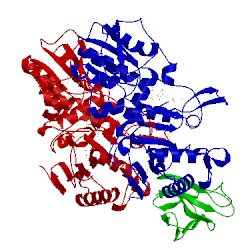 Image of CATH 1yj5