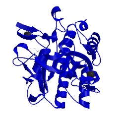 Image of CATH 1yja