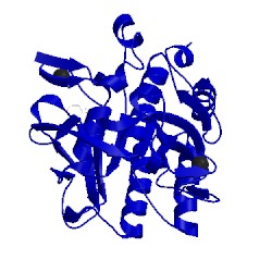 Image of CATH 1yjc