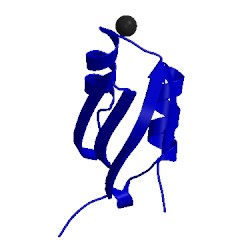 Image of CATH 1yjv