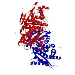 Image of CATH 1yk1